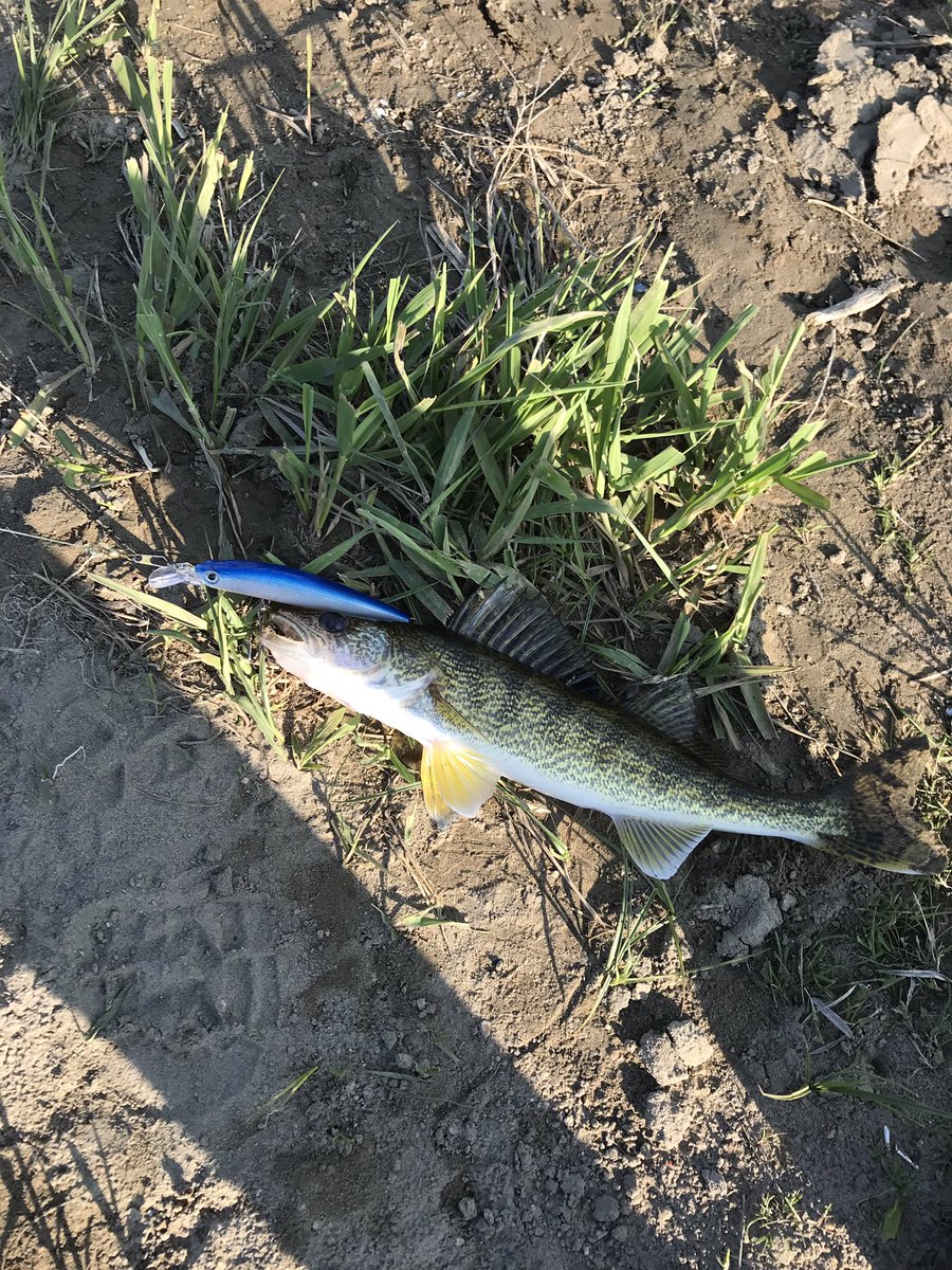 Wade Doerksen tweet media