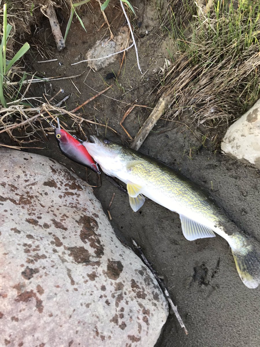 Wade Doerksen tweet media