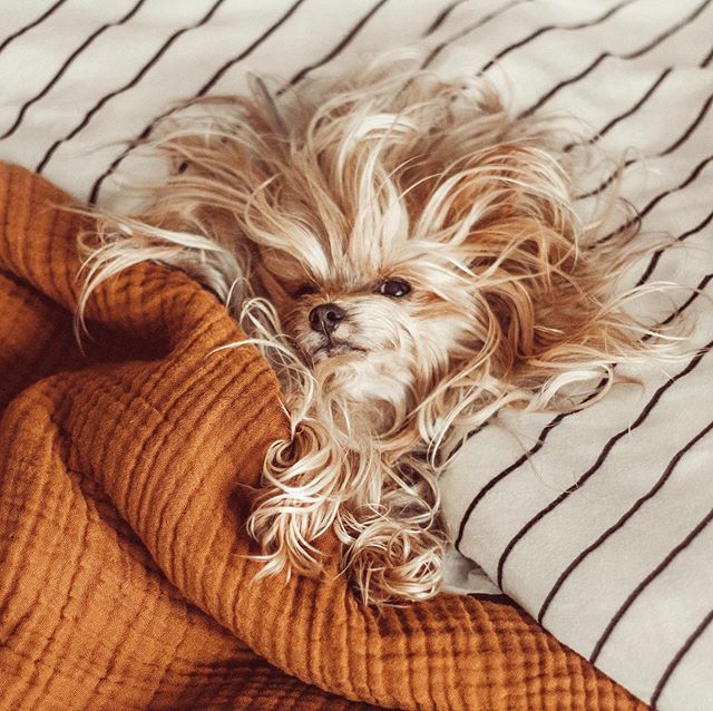 williecute's tweet photo. Sundays ⚡️ https://t.co/re9Mo5uAJL