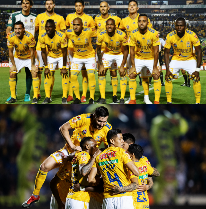 InvictosSomos's tweet photo. ➔ 2011: Tigres es CAMPEÓN de la Liga MX. 
➔ 2015: Tigres es CAMPEÓN de la Liga MX. 
➔ 2016: Tigres es CAMPEÓN de la Liga MX. 
➔ 2017: Tigres es CAMPEÓN de la Liga MX. 
➔ 2019: Tigres es CAMPEÓN de la Liga MX.

No hay debate, es EL CLUB DE LA DÉCADA EN MÉXICO. https://t.co/S3l8EmVBjK