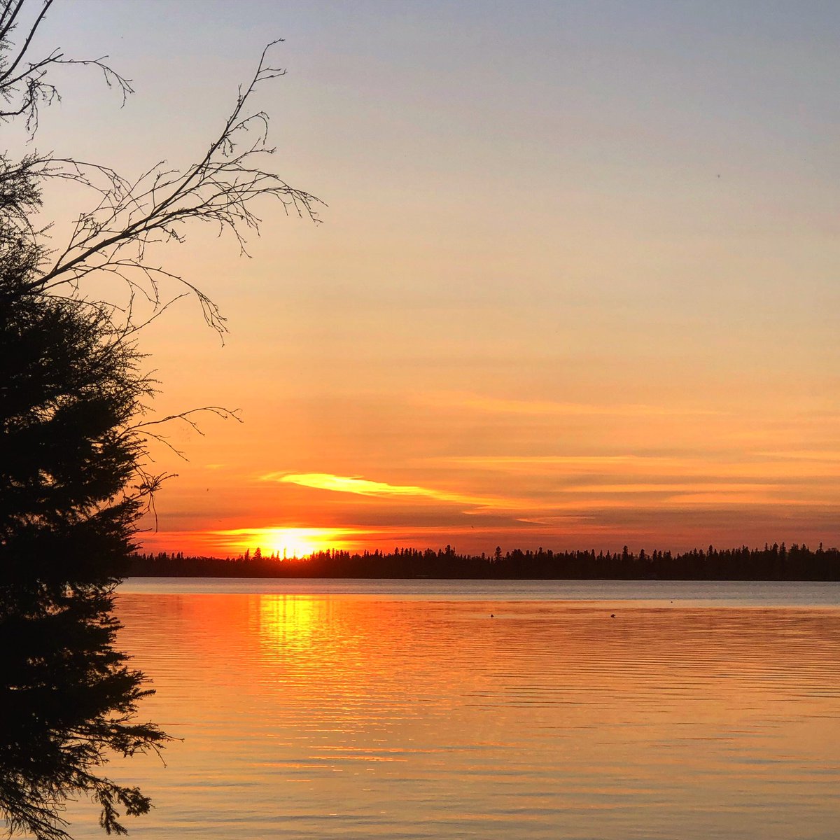 ClearwaterMB's tweet photo. Just an average sunset at the #JewelofCanada.
.
.
.
.
.
#LakeAtikameg #ThePas
#ClearwaterLakeMB
#ClearwaterThePas
#Opaskwayak #RMKelsey
#ExploreMB #VisitNorthernMB
#NorthernMB #Manitoba https://t.co/yLJzV7lfaq