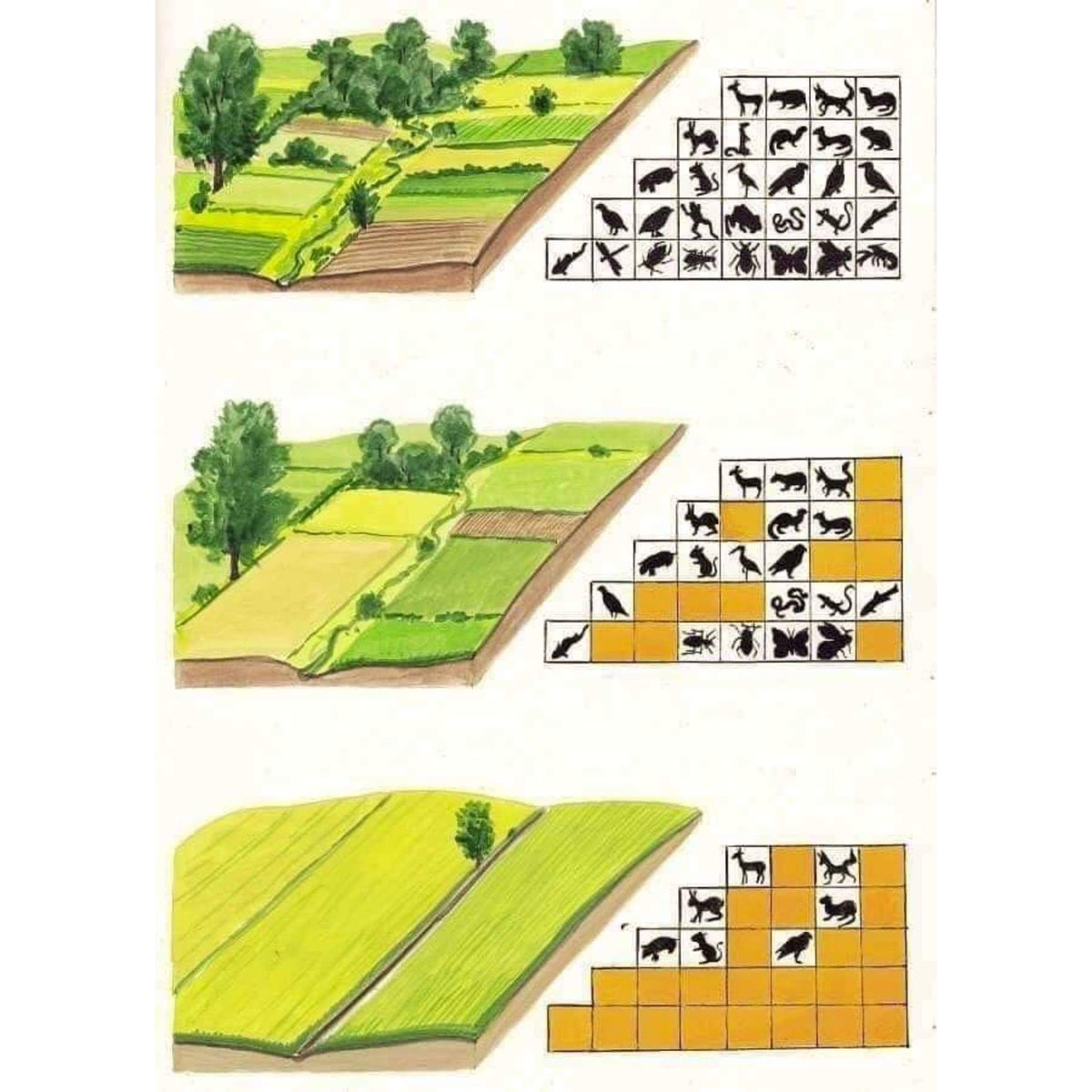 SudhaRamenIFS's tweet image. Sometimes pictures can speak more, than a million words.
What do you infer from this image?