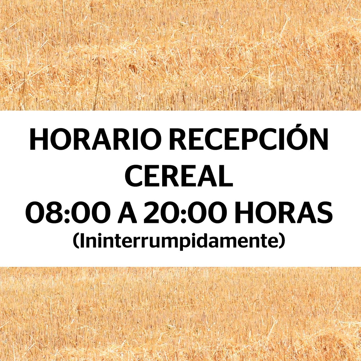 ⏰HORARIO CAMPAÑA DE CEREAL⏰

El horario de recepción de cereal a partir de hoy, lunes 27 de Mayo, será de 08:00 a 20:00 horas ininterrumpidamente.