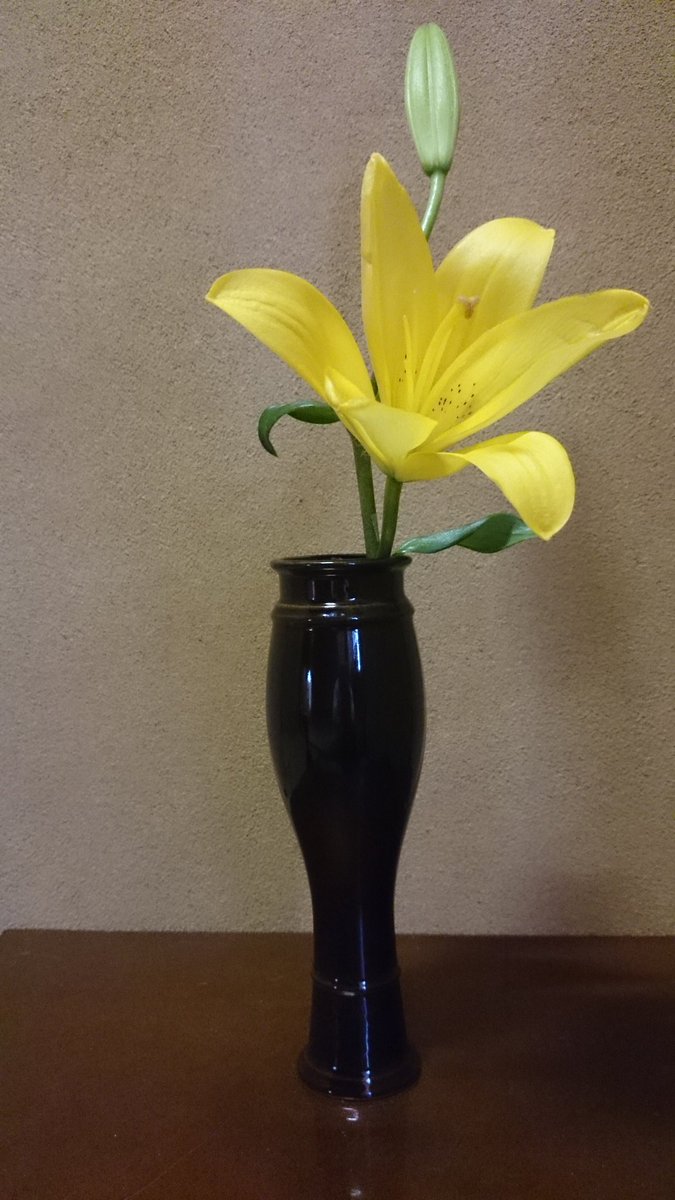 陽庵 Auf Twitter 5月の抹茶 茶花 すかし百合 花入 古瀬戸 和菓子 山若葉 花しょうぶ 鶴屋八幡製 お茶室は お香 抹茶等の香り が大切なので 山百合 カサブランカ等香りの強い百合は避け 稚児百合 鉄砲百合等が良く 蕾から半開きまでと言われますが あっという 陽庵 Auf Twitter 5月の抹茶 茶花 すかし百合 花入 古瀬戸 和菓子 山若葉 花しょうぶ 鶴屋八幡製 お茶室は お香 抹茶等の香り が大切なので 山百合 カサブランカ等香りの強い百合は避け 稚児百合 鉄砲百合等が良く 蕾から半開きまでと言われますが あっという