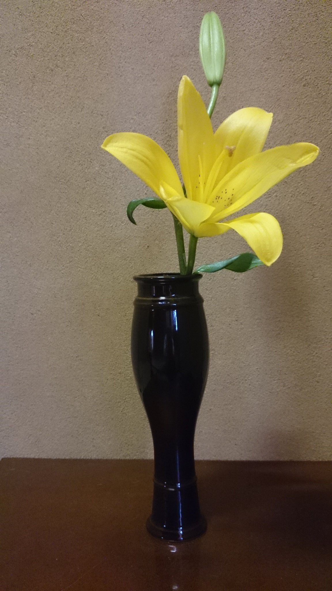 陽庵 ５月の抹茶 茶花 すかし百合 花入 古瀬戸 和菓子 山若葉 花しょうぶ 鶴屋八幡製 お茶室は お香 抹茶等の香り が大切なので 山百合 カサブランカ等香りの強い百合は避け 稚児百合 鉄砲百合等が良く 蕾から半開きまでと言われますが あっという