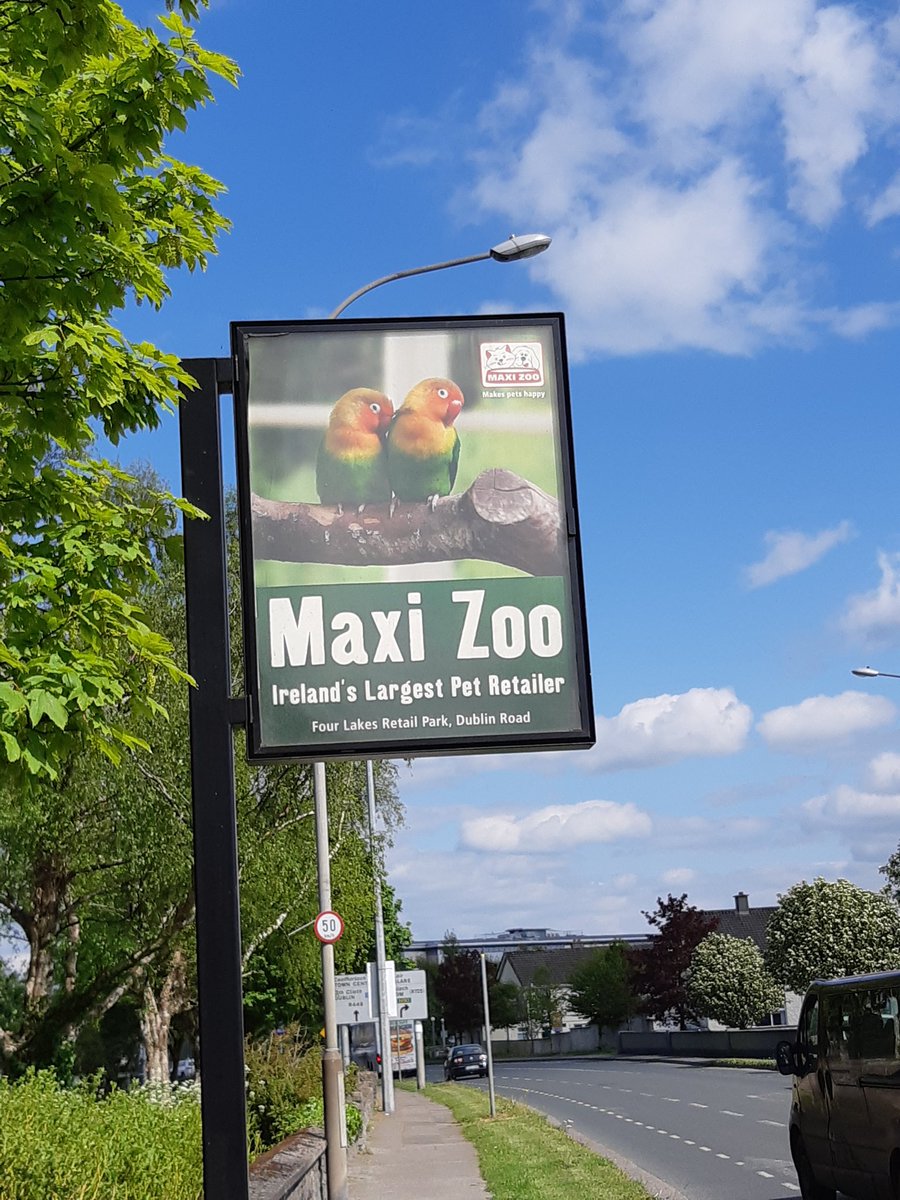 Touchpoint_ie's tweet photo. Have you see #beevisible displays to remind you @MAXIZOOIRELAND is located on the #dublinroad from #carlow. Call in for all your #petneeds #specialoffers #lovecarlow #mansbestfriend #catlady #greatdesign https://t.co/x4Ay5g4nRx