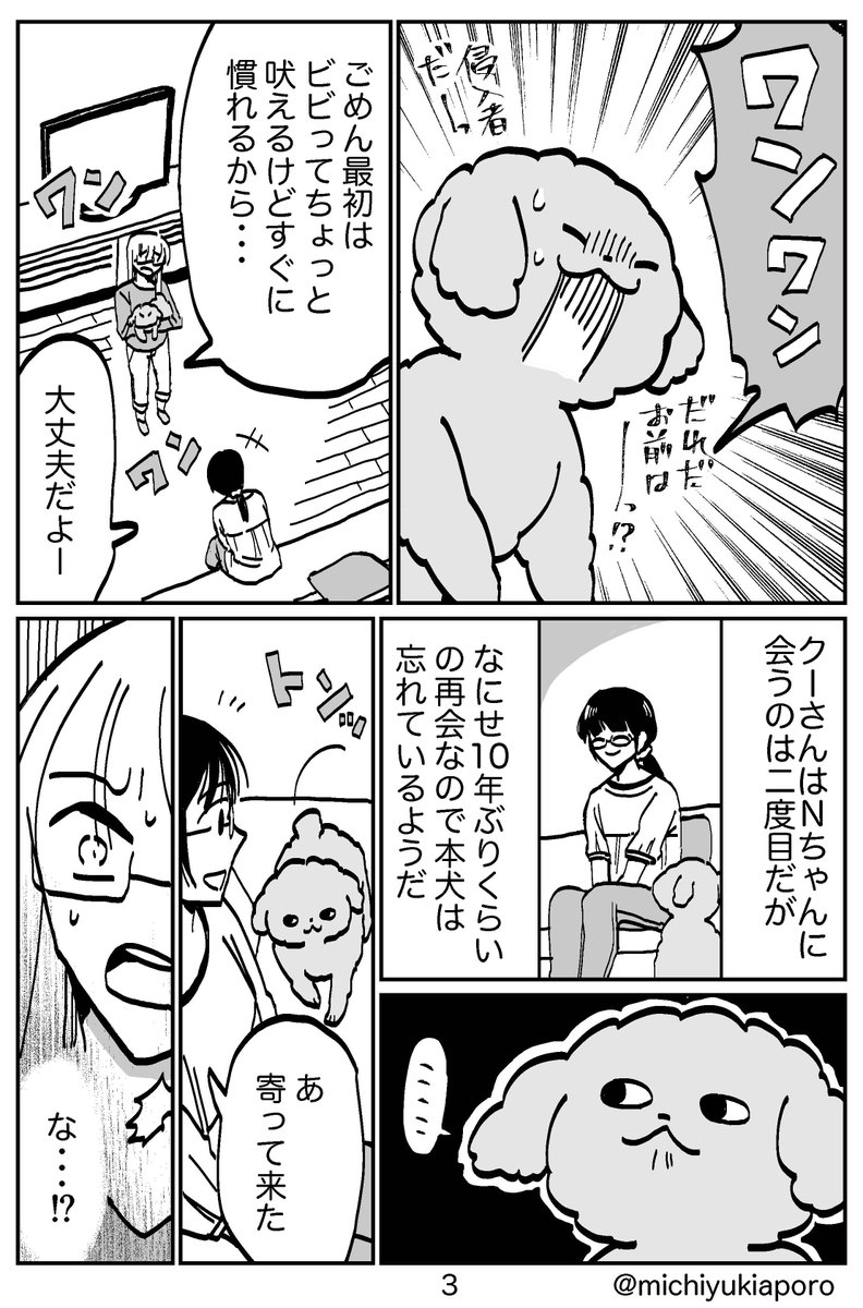 うちの犬がしていた不思議な行動。
そんな心理的な意味があったとは・・・いや、わかるかい！ 