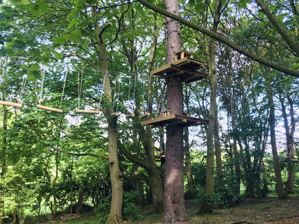 RavenTreeTopAdv's tweet image. All set up and ready to go! The weather may not have got off to a great start but it’s fairly dry under the tree canopy and the sun is shining through! We’re open to day and all this week! #tothetrees!