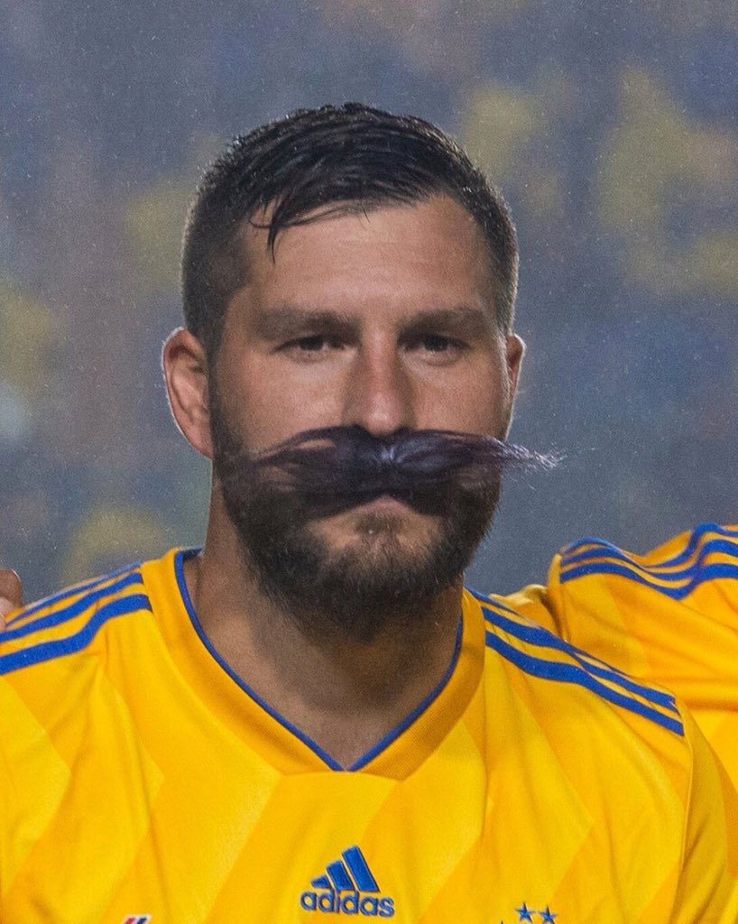 <a href="/10APG/">Gignac Andre-pierre</a> 🎵🎶🎵SIIIII ME DIERAAAN A ELEGIRTE UNA VEZ MAAAS... TEEE ELIGIRIAAAA SIN PENSAGHLOOO, PORQUE NO HAY NADA QUE PENSAAAGH¡¡🎶🎶🎵♥️♥️♥️