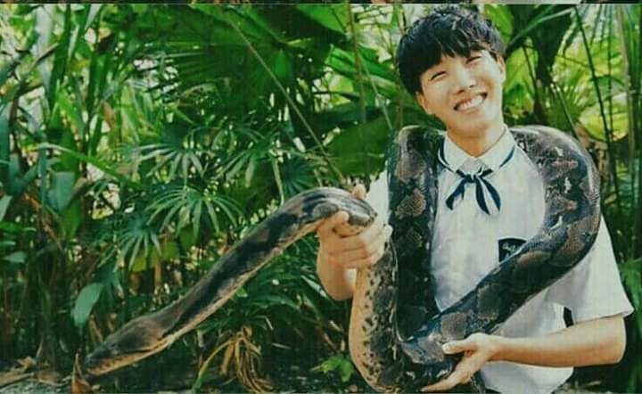 BTSlabsARMY's tweet photo. You're a certified Army, if you know what actually happened here🐍😂❤ https://t.co/ZADF5dnX5E