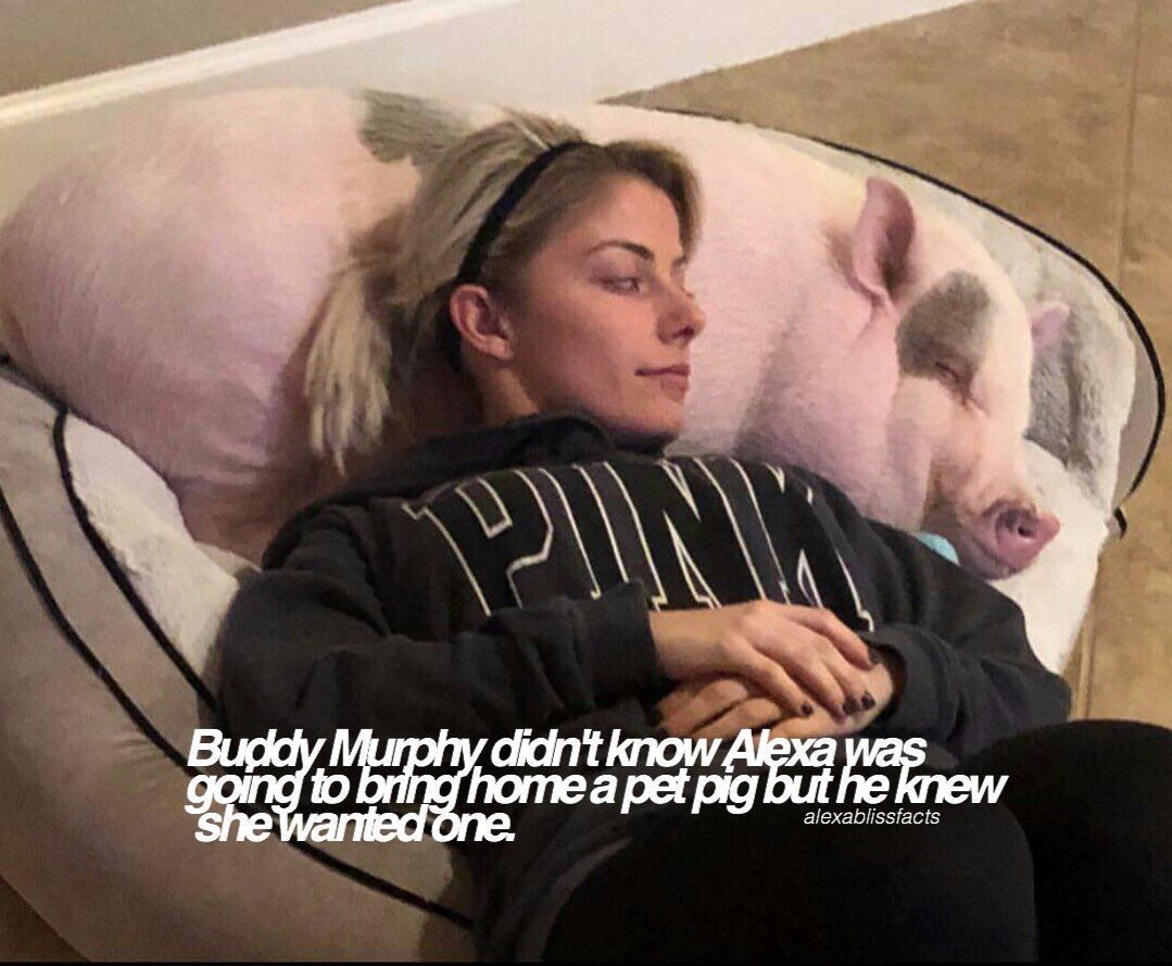 AlexaBlissFacts's tweet photo. once again, i'm sorry for the weird posting schedule. + this is a second acc i'm more active on my main. sorry! 💗 #alexablissfacts https://t.co/kf3DovC3tP