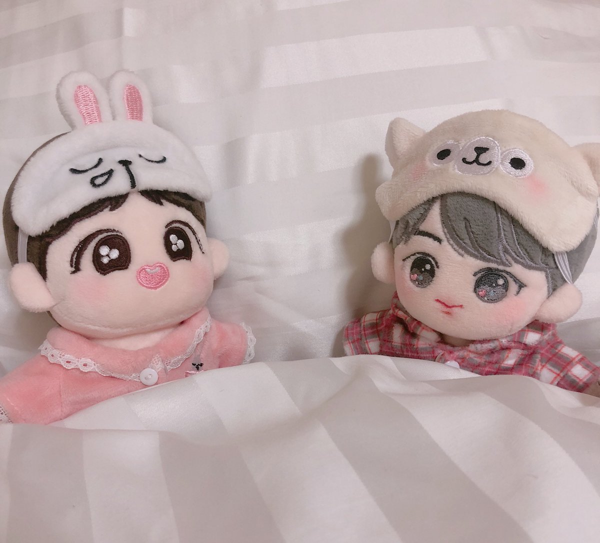 🐹진블리🐹 tweet media