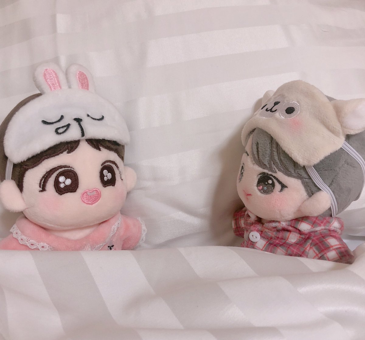 🐹진블리🐹 tweet media