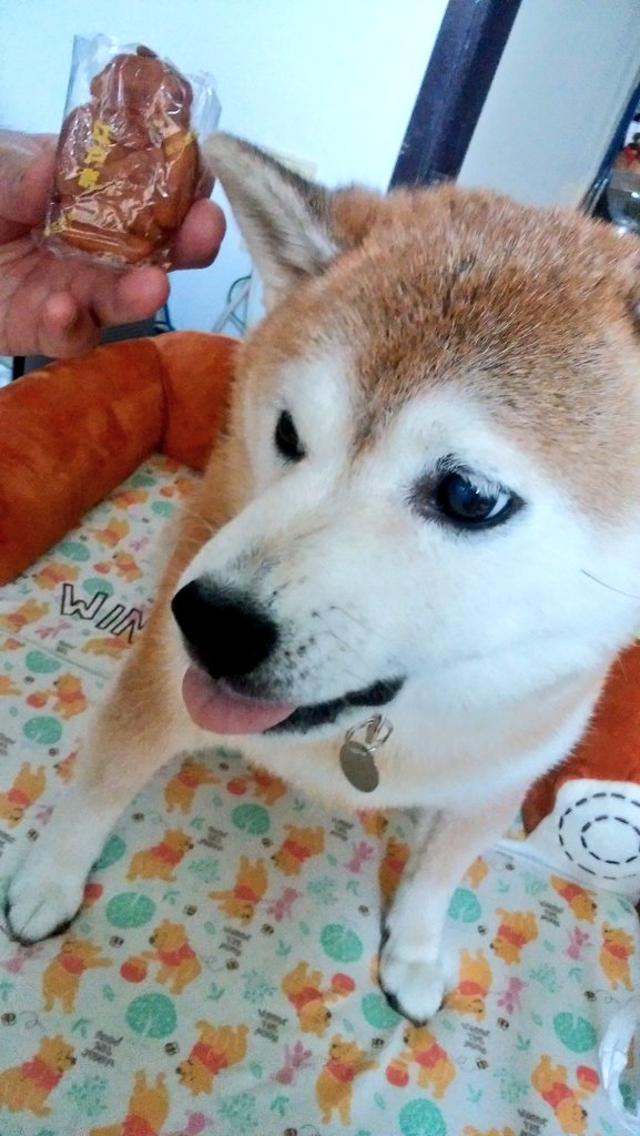 怒った顔も可愛い Twitter Search Twitter