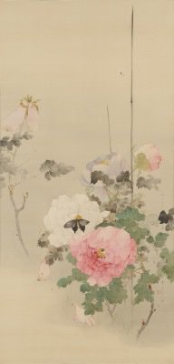 山種美術館 松園 松篁展開催中 二つの吉祥のモティーフを描いた渡辺省亭 牡丹に蝶図 蝶は老人を意味する 耋 てつ Die と音が通じることから長寿 を 牡丹は富貴を象徴する画題 牡丹の花の質感描写に省亭の卓越した技術が光る作品 山崎 山種 山種美術館 松園 松篁展開催中 二つの吉祥のモティーフを描いた渡辺省亭 牡丹に蝶図 蝶は老人を意味する 耋 てつ Die と音が通じることから長寿 を 牡丹は富貴を象徴する画題 牡丹の花の質感描写に省亭の卓越した技術が光る作品 山崎 山種