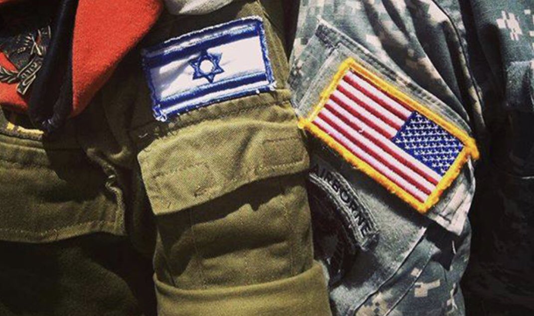 Galit Peleg🇮🇱 tweet media