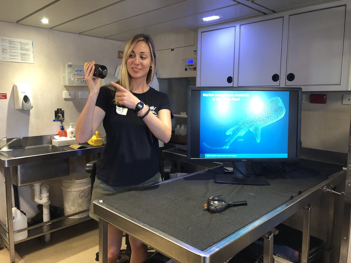 LuOceano's tweet photo. We had a great morning talking with #Exmouth school kids about our research on #whalesharks tiger sharks and turtles during the @aims_gov_au #RVSolander Open Day https://t.co/DwpQNIGp4p