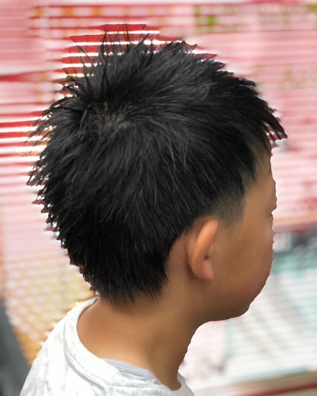 ヘアーサロンイワムラ No Twitter 初めて一人で来てくれました 豊橋理容室 大人カット1500円 小人カット1000円 ヘアーサロンイワムラ ソフトモヒカン ツーブロックショート キッズヘア 豊橋プレス はじめての T Co Gct4ykjl8q T Co Hm3g53m9nt