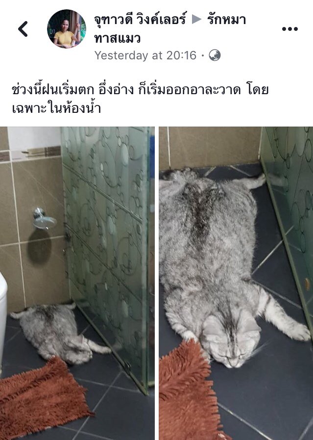 ไอเลิฟหนมแงวเลีย tweet media