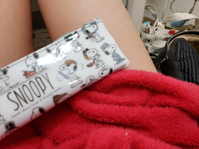 撮影会中だぽん  平日なのに ありがたき😌  最近 スヌーピーが増し増しです&hearts; かわいい&hearts; おうちにも、頂き物のぬいぐるみ集まってるの ワンコが遊び相手に狙ってるけど  後半いってくるよ！ https://t