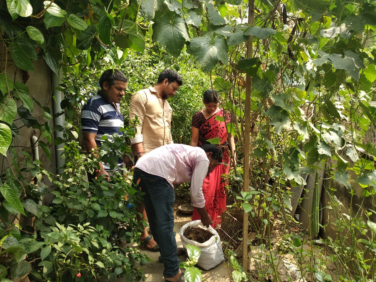While the world turns grey our <a href="/apzbnf/">Andhra Pradesh Community-managed Natural Farming</a> villages are going Green. Our resource person Adhilaxmi from <a href="/srikakulamgoap/">Srikakulam District</a> has created a mini food forest in her backyard. Its the efforts of farmers like her that hope of reversing the climate crisis persists. <a href="/vijaythallam/">Vijay</a> <a href="/rajbudithi65/">Rajsekhar Budithi</a>