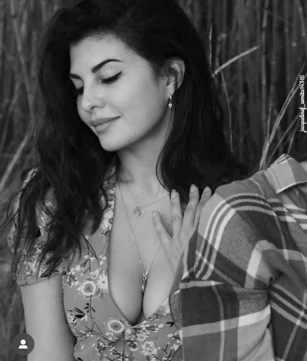 BollywoodHotPix's tweet photo. Jackline 🌼 https://t.co/K1HuCUWYaN