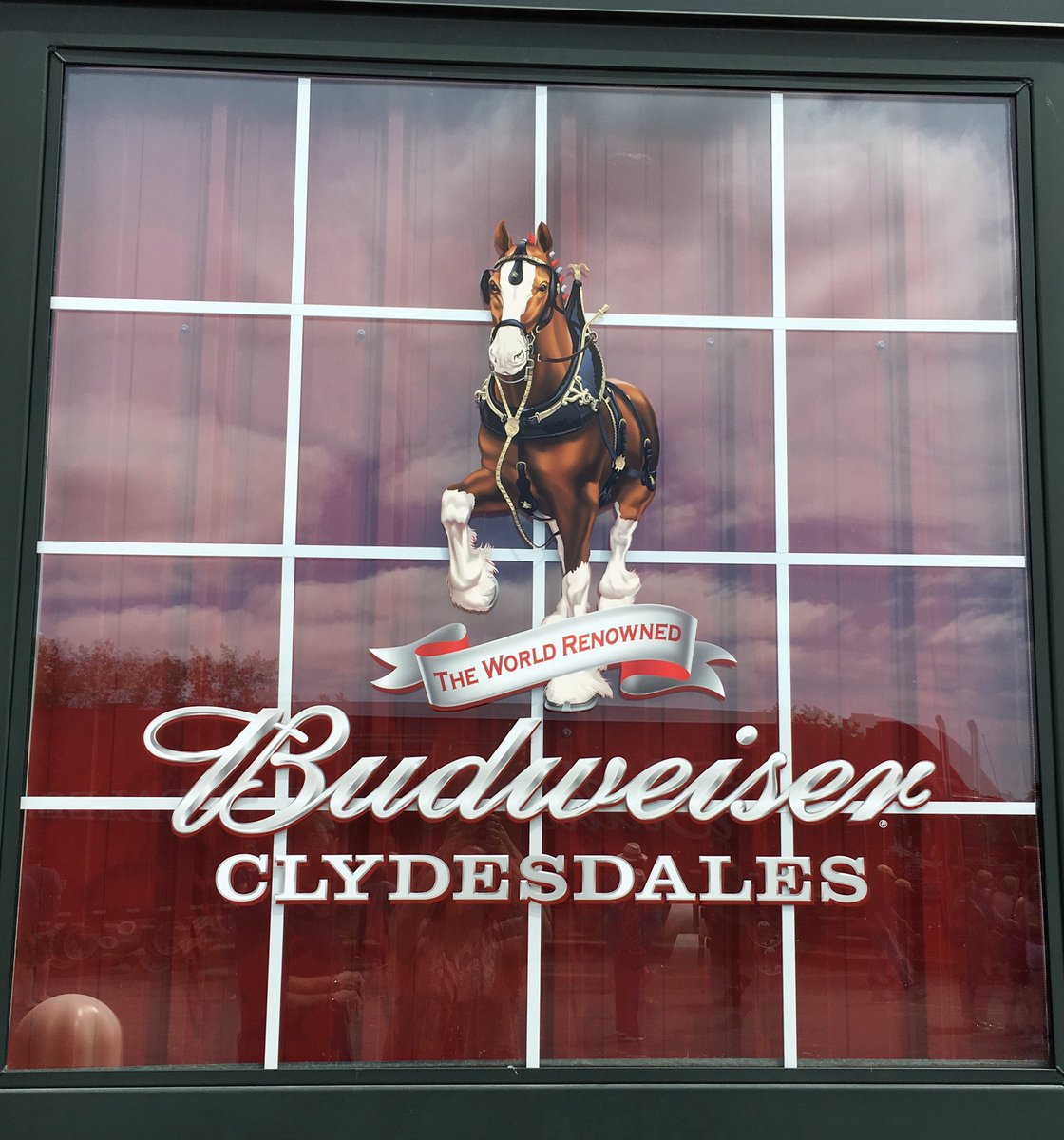 fadeza13's tweet photo. "Oh, the places you will go..."🍺🍻🐴💖😍 https://t.co/a8dHp4L1gL