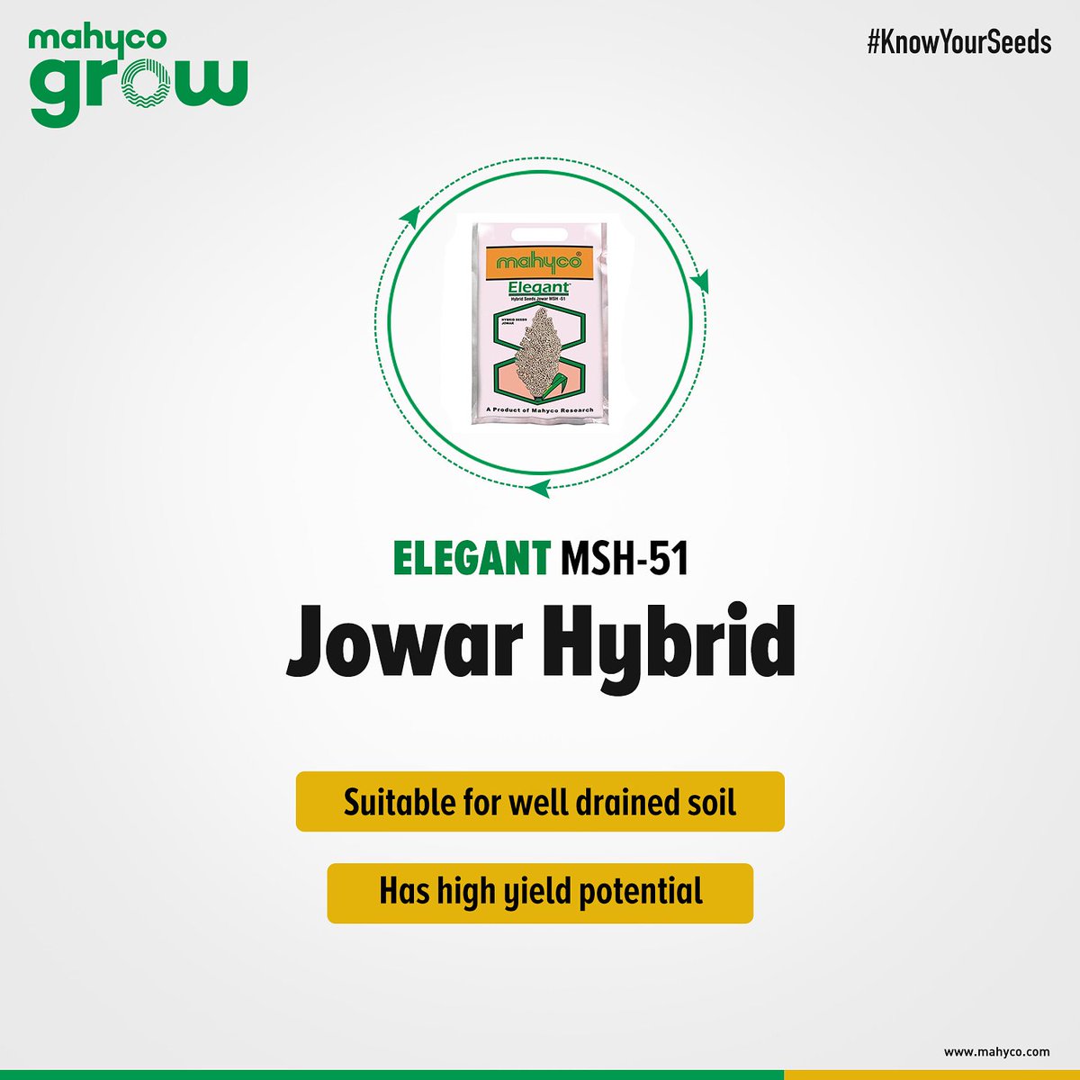 MahycoGrow's tweet photo. This hybrid jowar has higher yielding potential. It is known for its attractive round grains and is tolerant to lodging.
#Mahyco #MahycoGrow #HybridJowar #Seeds #Agriculture #Farms #Fruits #Vegetables #Farmers
#KnowYourSeeds https://t.co/V2mmIvY9gf