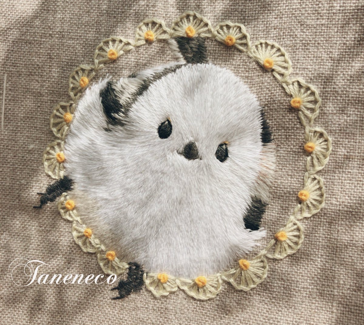 ©︎taneneco 𓃠-ﾀﾈﾈｺ-🪡 tweet media