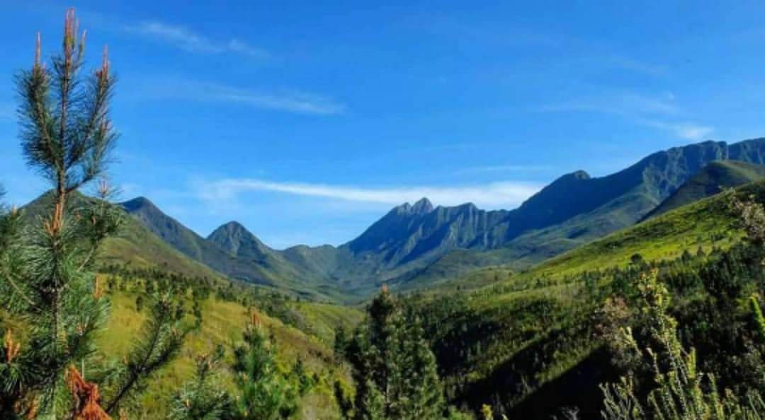 TsitsikammaTourism tweet media