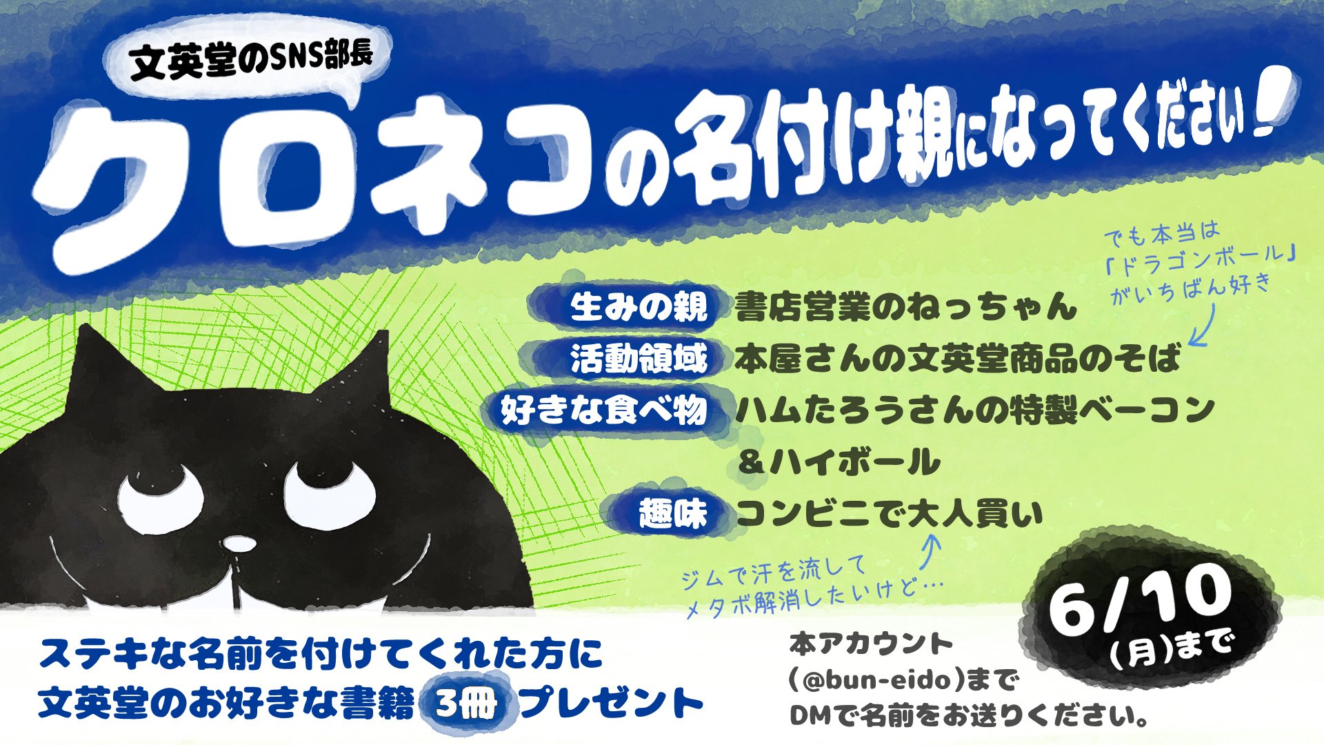 文英堂 公式 このクロネコは 書店で文英堂の本のそばに出没します 見かけたことある方はいらっしゃるでしょうか T Co Mbqtlza4py Twitter
