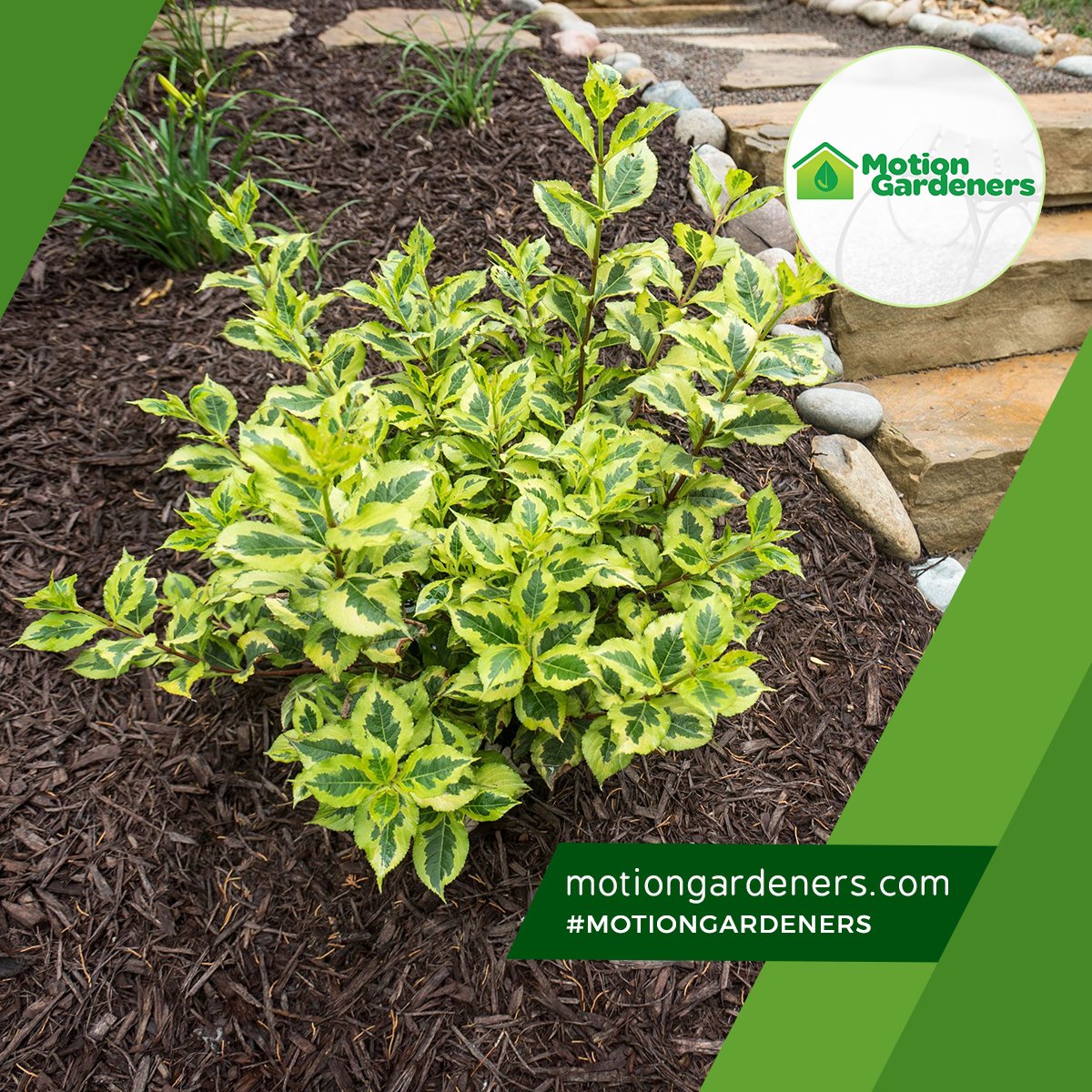 motiongardnrs's tweet photo. By lending beauty, color, and motion to an outdoor space, softscaping is a time-tested method to make your property come alive. Get in touch https://t.co/v69lUcObbb #landscaping #gardening #installation #maintenance #softscaping #hardscaping #motiongardeners https://t.co/gOvOwJmAzl