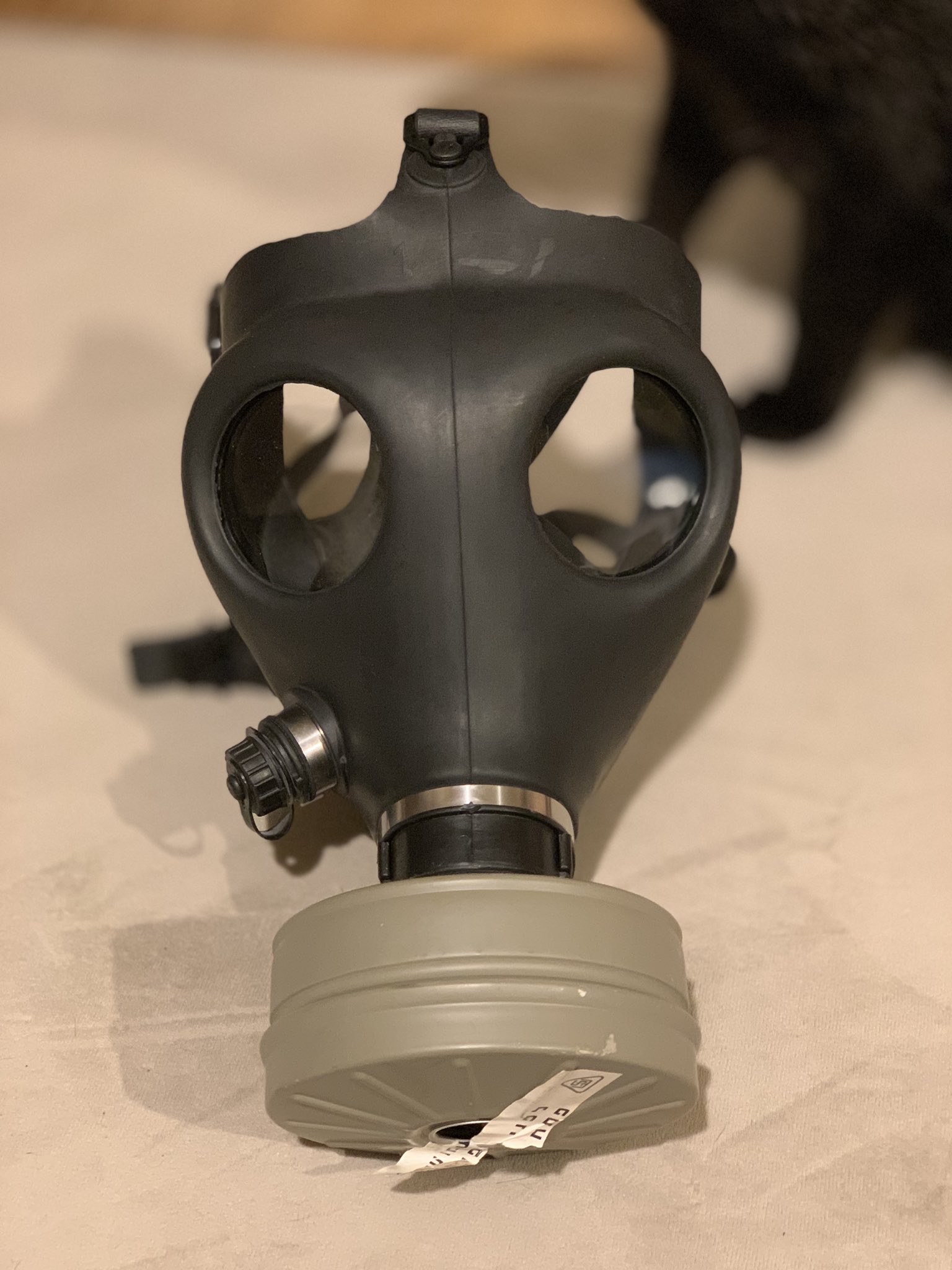 田中昌之 昨晩askaからもらった このガスマスク イスラエル軍が使ってる物らしい 花粉症対策になるとは思ふ が しかし俺は 花粉症でもない でわ 余計な感情を吸い込まないで 音楽に集中せよってことか Aska特有の謎かけ う ん やはり俺は奴からイジ