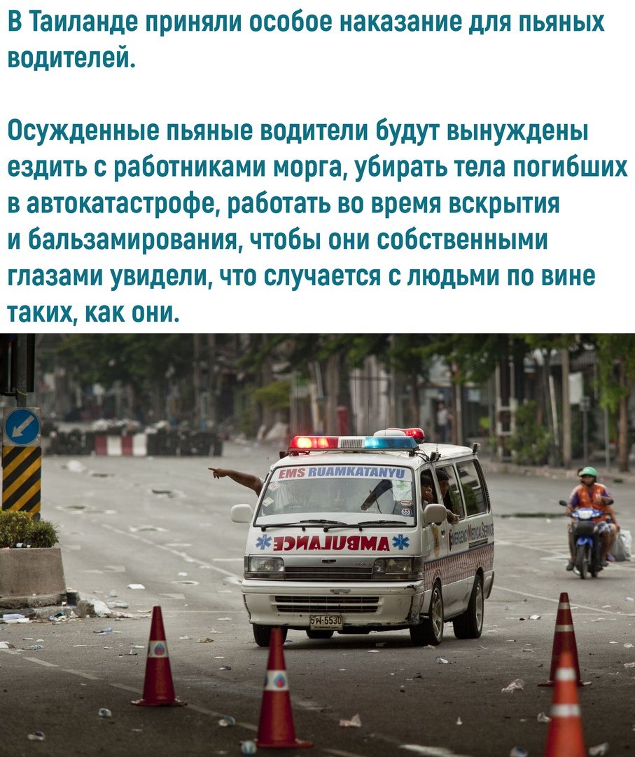 Чистый позитив (@purepositive_ru) on Twitter photo 