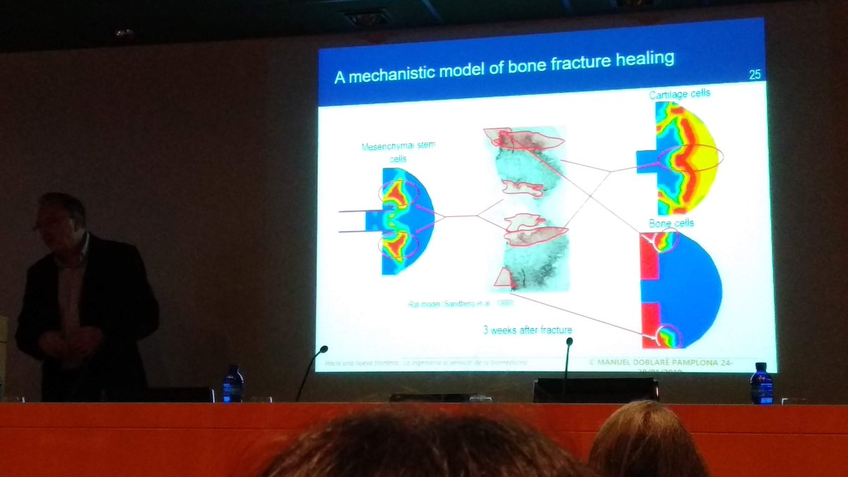 OSFplastic's tweet photo. La pasada semana la acabamos con  una interesante jornada "a jornada "Hacia una nueva frontera: la  ingeniería al servicio de la medicina", adquiriendo más conocimientos en  #HealtLSR #SiliconaLiquida #PlasticoTecnico #SalaBlanca.
@HealthLSR @leartiker @CCIBayonnePB  @AIN_Navarra https://t.co/pDDXVmjkJD