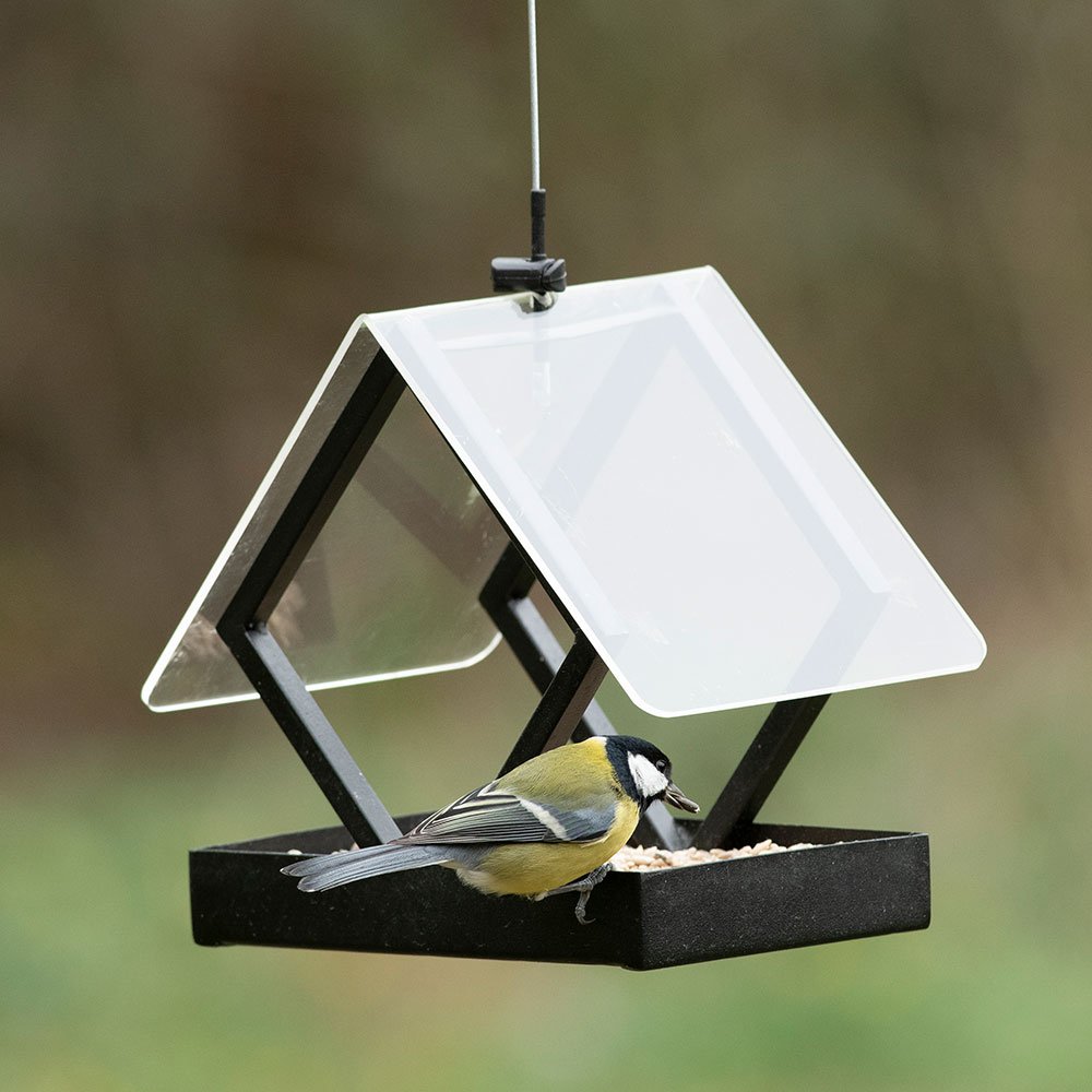 Cj Wildlife On Twitter Be A Bank Holiday Springwatcher Win A