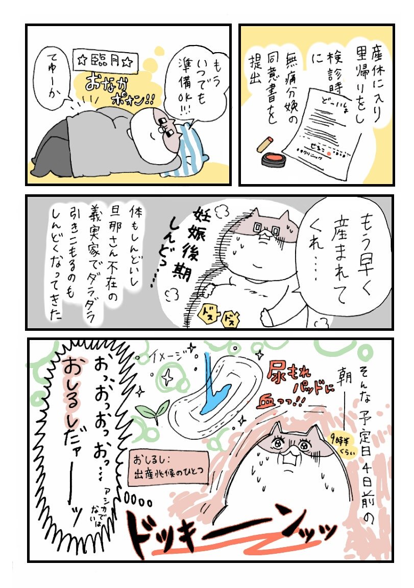 せるこの出産レポ③
（計画じゃない）無痛分娩

やっとレポっぽくなってきた☺
とにかくしんどくて正産期入ったらすぐにでもうまれてほしかったな～

オロナミンCうまいよね

#出産レポ 