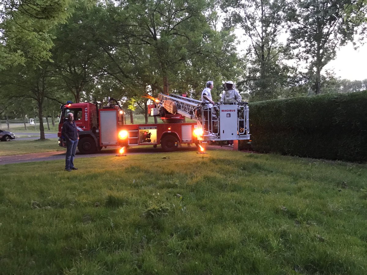 Op bijenzwermenjacht met jubilerend imker ⁦⁦<a href="/pimlemmers/">Pim Lemmers</a>⁩ De afgelopen 25 jaar verwijderde hij bijna 250 bijenzwermen. Om 12.40 hoor je op NH Radio waarom. De beelden zijn straks ook te zien op de Facebookpagina van NH Radio. Cc ⁦<a href="/patriciaNHRadio/">patricia nagelkerke</a>⁩ ⁦<a href="/swoesj/">Anneke Harmsen</a>⁩