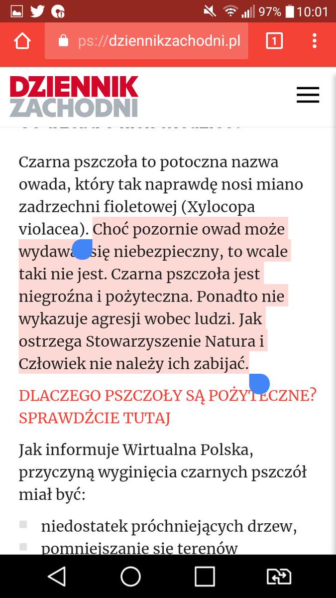 bestinli's tweet photo. @givemethisjuice Bez wprowadzania w błąd proszę 

TE PSZCZOŁY NIE SĄ NIESAMOWICIE  NIEBEZPIECZNE
Tylko wyglądają inaczej od nam znanych https://t.co/cHR3mzXi3S