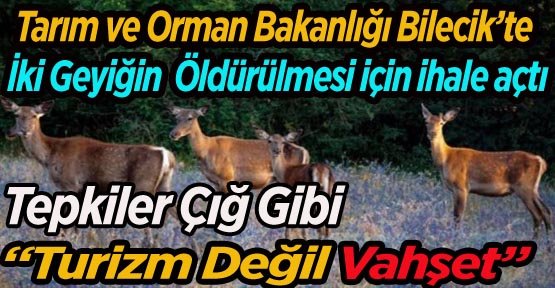 TARIM VE ORMAN BAKANLIĞI BİLECİK’TE İKİ GEYİĞİN ÖLDÜRÜLMESİ İÇİN İHALE AÇTI
TEPKİLER ÇIĞ GİBİ
yarin11.com/bilecik/tarim-…
@bilecik <a href="/kuzeyormanlari/">Kuzey Ormanları Savunması</a>  <a href="/orhansaribalchp/">Orhan Sarıbal</a>
