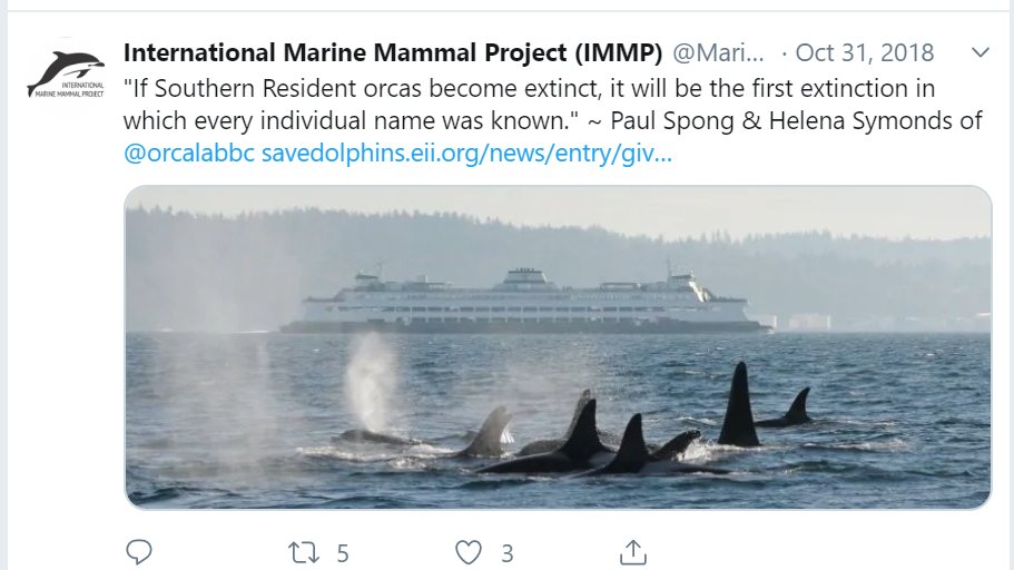 PaolaAg90242513's tweet photo. Throughout the world, orcas are beginning to die at a faster rate. In fact, out of the orcas that are held captive, about 91%of them have died, due to the harsh environments. This is a problem that can be avoided, visit https://t.co/q7cmLzD8HP to learn more.
#39canimals https://t.co/MqkdSkcvzG