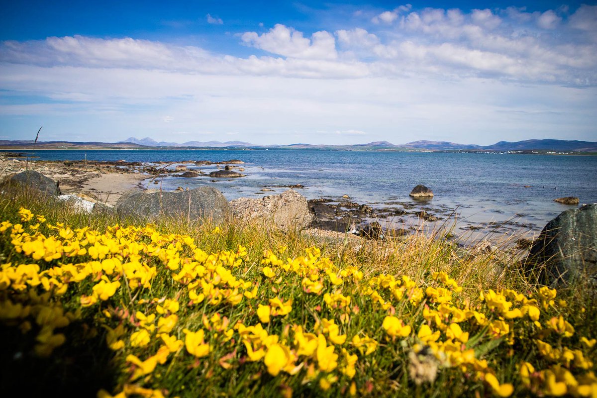 watchmesee's tweet photo. #AD My @Rabbies_Travel tour to #Islay was not all about whisky; although I lost count after a few drams... Our driver-guide Dave also showed us the natural beauty of Islay and #Scotland along the way! Read my tour review here: https://t.co/bpchUsvtzB #WildAboutArgyll #BlogScot https://t.co/KKKH8lhaZ3