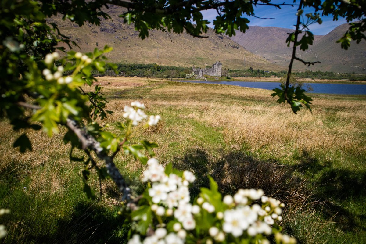 watchmesee's tweet photo. #AD My @Rabbies_Travel tour to #Islay was not all about whisky; although I lost count after a few drams... Our driver-guide Dave also showed us the natural beauty of Islay and #Scotland along the way! Read my tour review here: https://t.co/bpchUsvtzB #WildAboutArgyll #BlogScot https://t.co/KKKH8lhaZ3