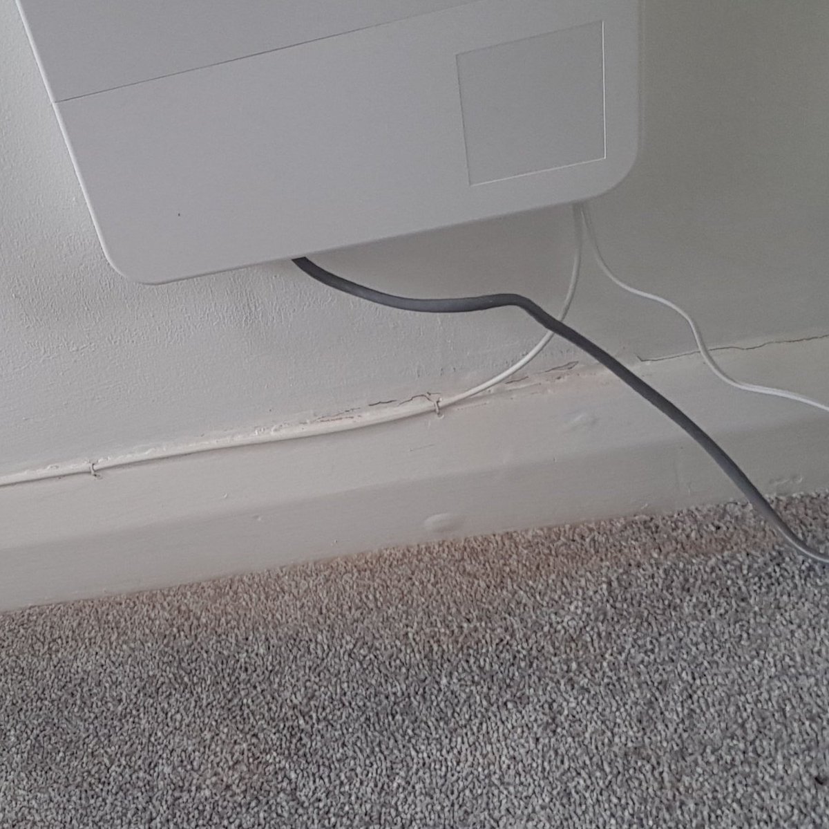 tomekean's tweet photo. @bt_uk 
Me: " Shall i get some newspaper to put under the drill so it doesn't mark the carpet?"

BT broadband installer: "No, there's no need."

My carpet: "I'm never going to stop being pink now. https://t.co/k9GFPy6vr7