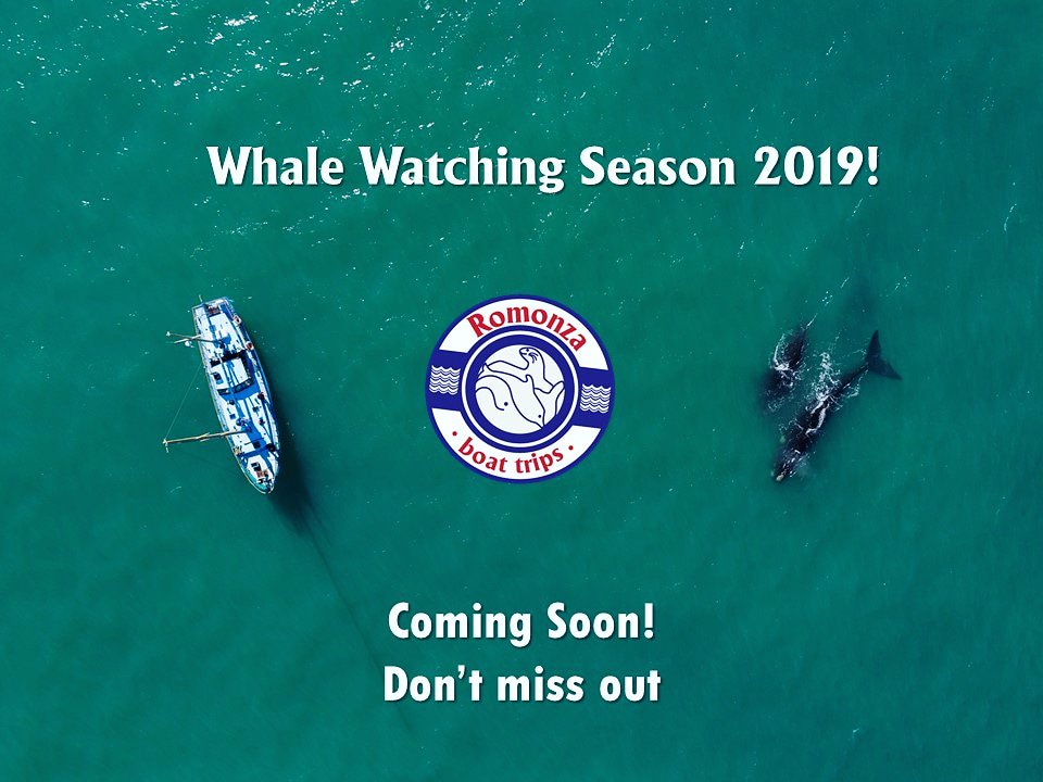 romonza's tweet photo. We are open again! Whale season is around the corner. Already a few sightings in our bay. Make sure you join us this whale season. #romonza #romonzaboattrips #mosselbay #visitmosselbay #mosselbaytourism #boattrips #sealisland #gardenroute #MosselBayHasMore #whalewatching https://t.co/P9hAHeEDdG