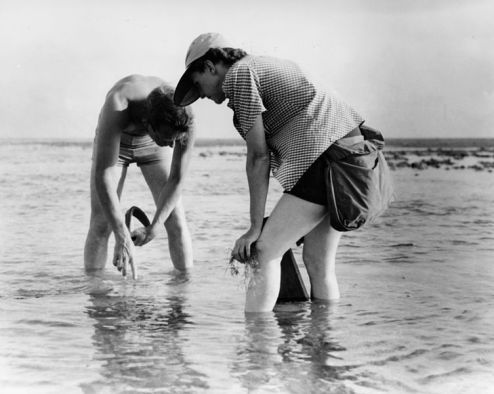 The best thing a child can have, according to Rachel Carson, is "a sense of wonder so indestructible that it would last throughout life, as an unfailing antidote against the boredom and disenchantment of later years." She was born #OnThisDay. bit.ly/30NxtCe
