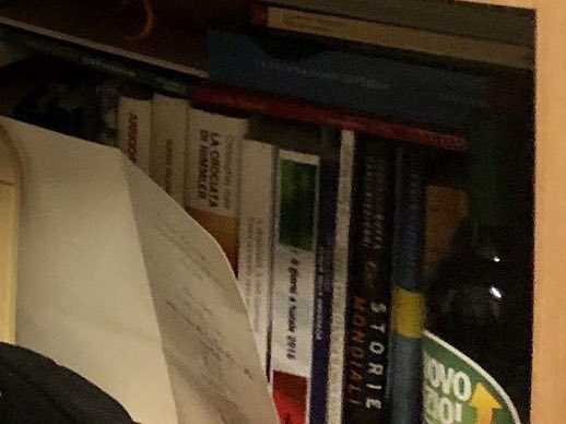 gayburg's tweet photo. #elezionieuropee19 Tra i pochi libri di #Selfini, tra icone ortodosse e ampolle padane, troviamo i libri di #Putin e "La crociata di #Himmler". Il volume racconta la spedizione in Tibet voluta da Himmler per cercare dati sull'origine della #razzaariana. https://t.co/UaEruSdcTU