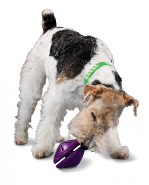 VCAPetHealth's tweet photo. Working hard can lead to great things, more specifically behavior management-working for food. #KnowYourPet #LifeLearn https://t.co/e2SmvbthTQ https://t.co/JDmFoXnnHB