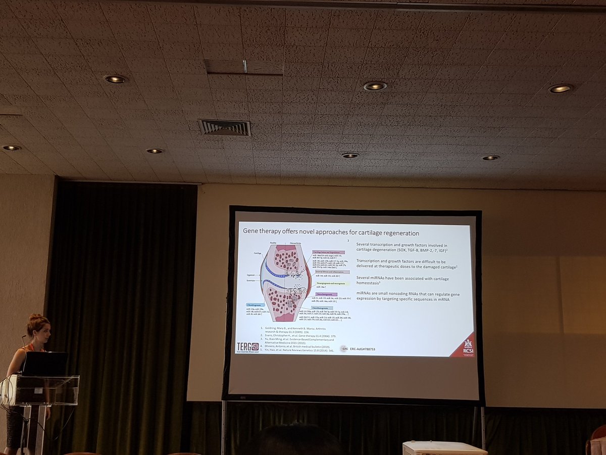 Gyveth's tweet photo. Dr. Lia Blokpoel talking about her innovative platform based on #GET and collagen GAG scaffolds that co-deliver microRNA and plasmid DNA for cartilage repair #TermisEU2019 #TERGOnTour #ReCap @ERC_Research @RCSI_Irl @EuTermis #Rhodes https://t.co/2NIX2qz8rm