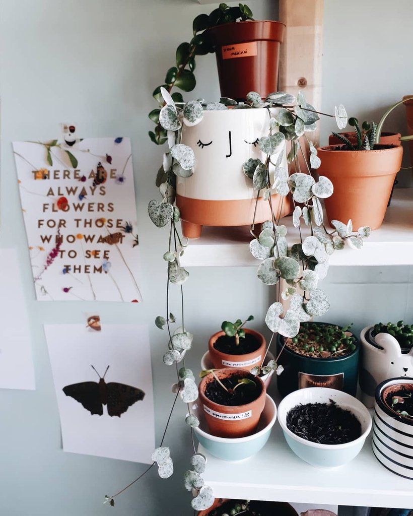 How gorgeous do these art prints from March's papergang box look?! 😍 You can get March's box on our website now! From @jungleinmyroom